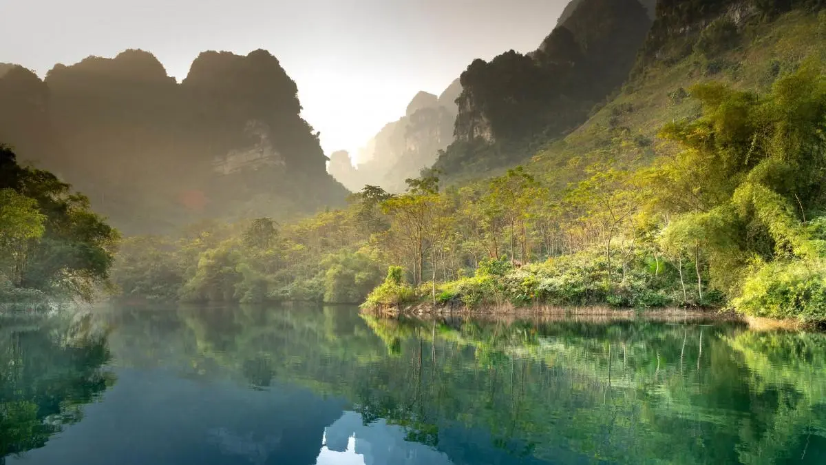 智能数字化高端